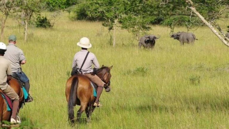 Uganda: 3-Day Lake Mburo National Park Adventure Tour - Authentic Encounters and What Travelers Say