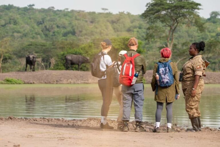 Uganda: 4-Day Gorilla Trekking and Wildlife Safari - A Practical Breakdown of the 4-Day Safari