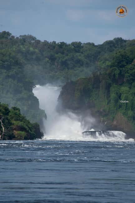 Uganda: 6-Days wild life and Chimpazee - The Practicalities: Transportation, Cost, and Whats Included