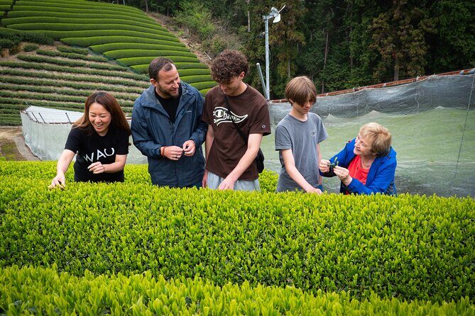 Uji and Wazuka Matcha Farm Half Day Private Guided Tour - Wazuka: The Hidden Heart of Matcha