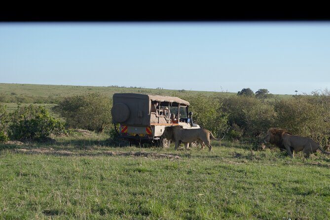 Ultimate 12 Days Private Safari Tour in Kenya and Tanzania - Why This Tour Offers Great Value