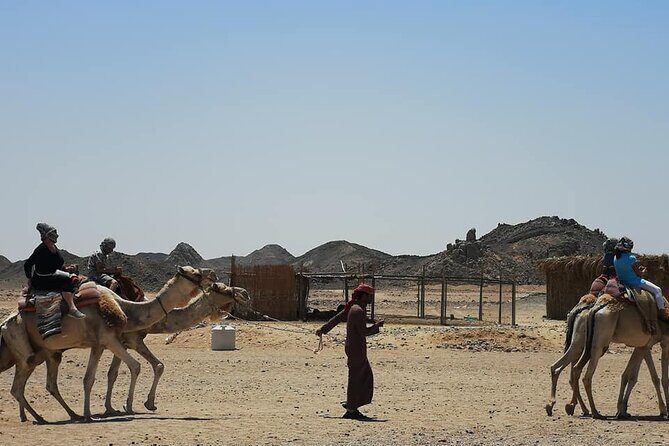 Ultimate Desert Experience - What the Tour Includes and What to Keep in Mind