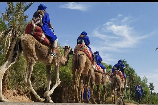 Ultimate Marrakech Desert Adventure: Camel Rides & Buggy Thrills - Pricing and Value