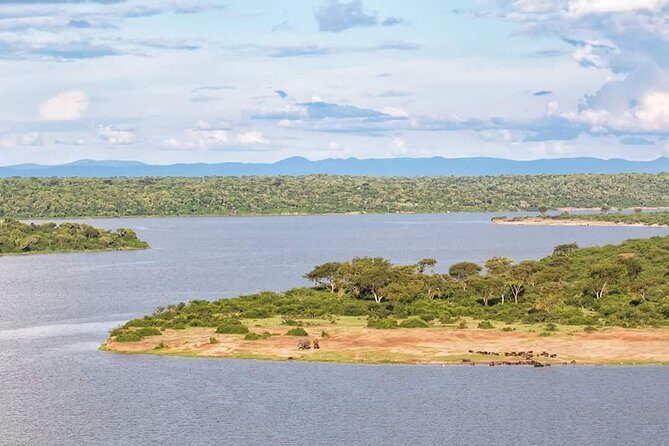 Ultimate Uganda Luxury Safari - 14 Days - What Makes This Tour Stand Out