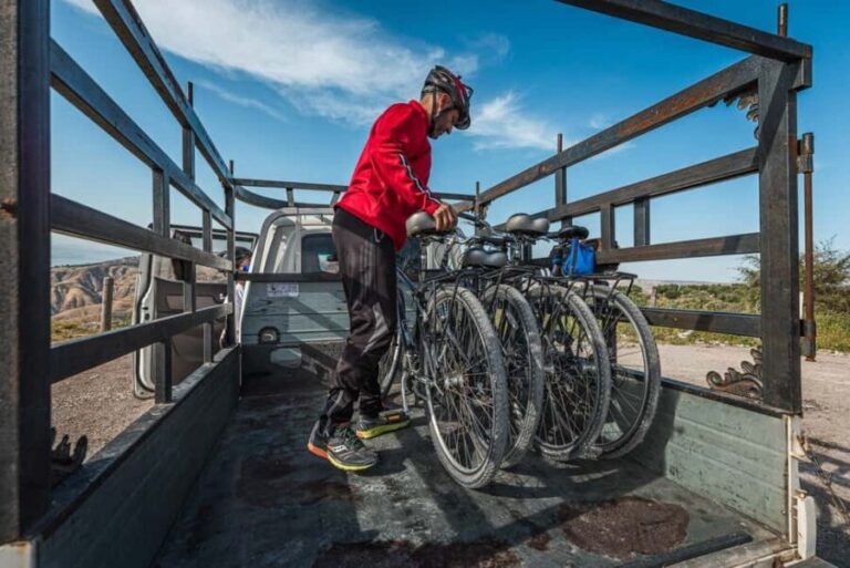 Umm Qais: Guided Light Cycling Tour with Equipment - Who Would Love This Tour?