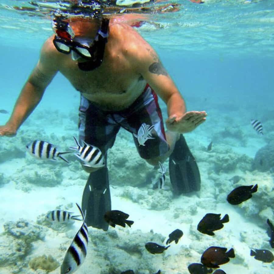 unforgettable full-day Safari Blue experience in Zanzibar, - Practical Details and Why They Matter