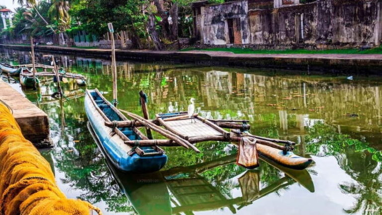 "Unforgettable Sri Lanka: 8-Day Cultural & Scenic Tour" - A Detailed Look at the Itinerary