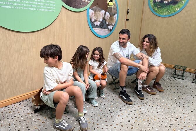 Unique One-Day Tour: Interactive Experience with Red Pandas - An In-Depth Review of the Panda Experience