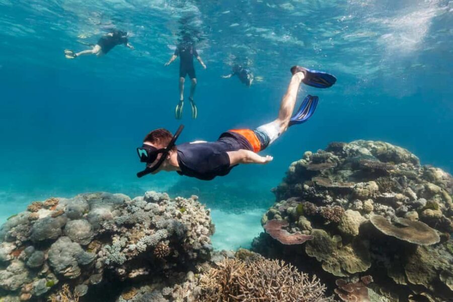Uroa Blue Adventure - What Travelers Say