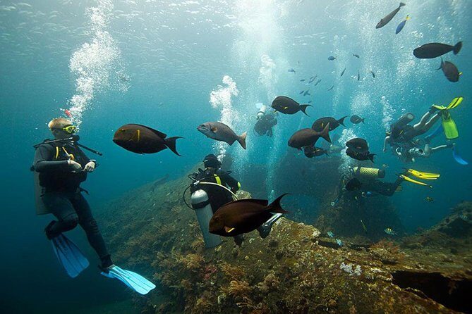 USS Liberty Shipwreck Scuba Diving at Tulamben Bali - Who Should Consider This Tour?