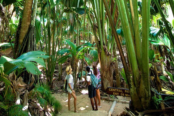 Vallee de Mai Tour (From Praslin) - FAQs
