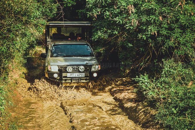 VALUE PACK! One Day Safari Tour to Yala and Udawalawa Parks - What Makes This Tour Stand Out?