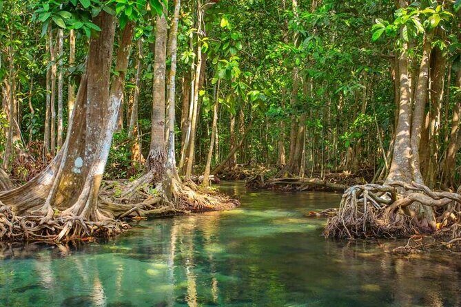 Vam Sat Mangrove Forest - VIP Private Tour from Ho Chi Minh City - In-Depth Breakdown of the Itinerary