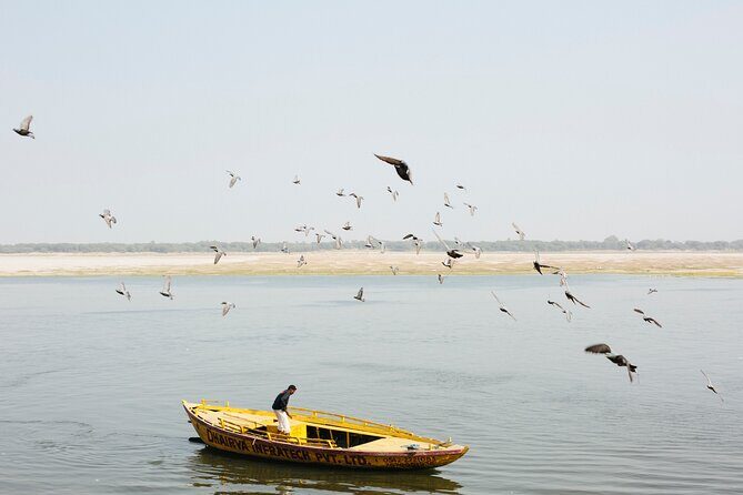 Varanasi Highlights. 1 Day Tour - What Travelers Say