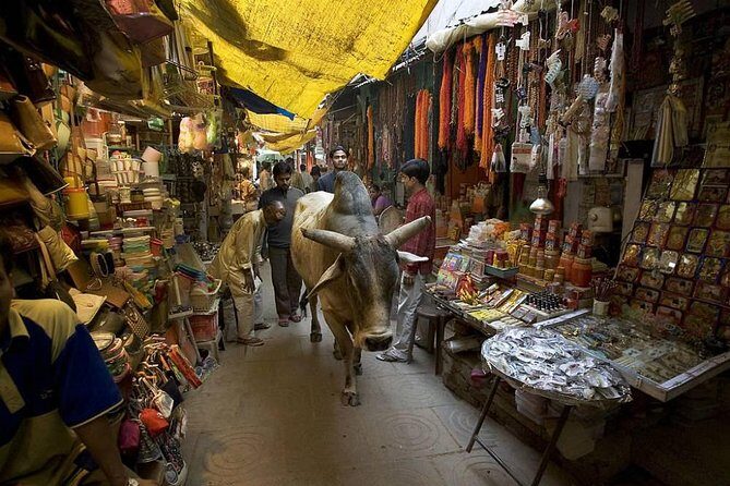 Varanasi Spiritual Walk: Explore Temples, Ghats & Sacred Sites - What travelers say about this tour