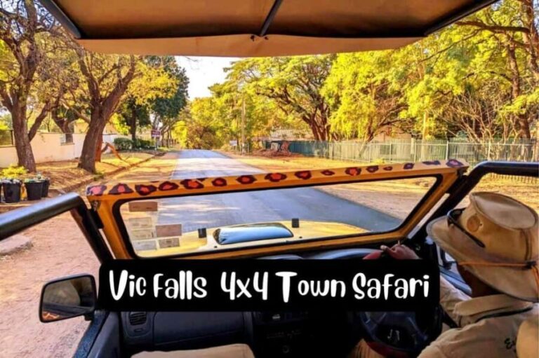 Victoria Falls: 4x4 Victoria Falls Town Safari - Key Points