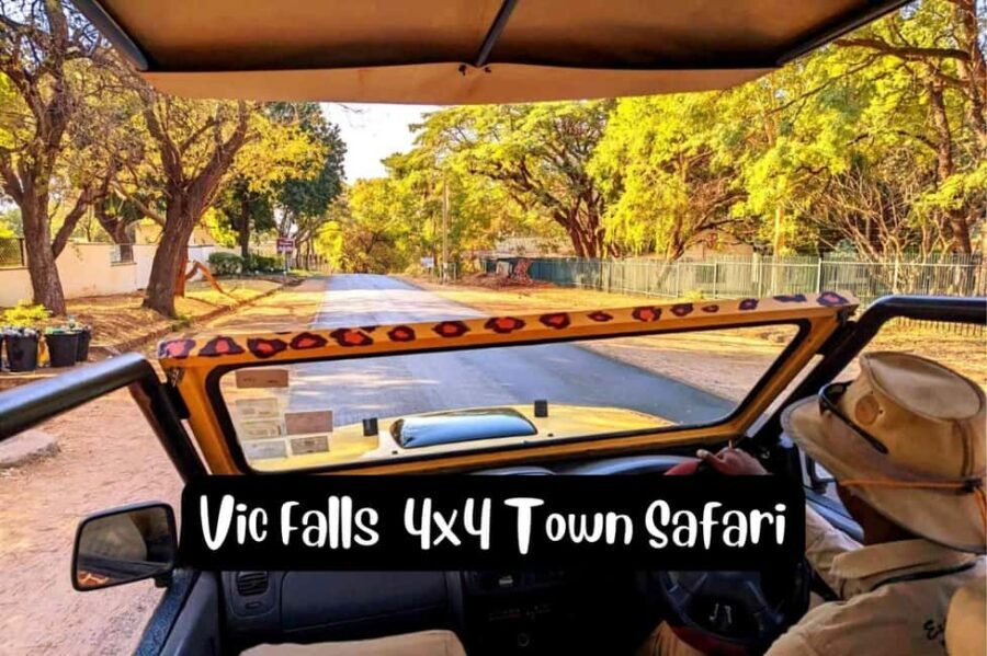 Victoria Falls: 4x4 Victoria Falls Town Safari - Key Points