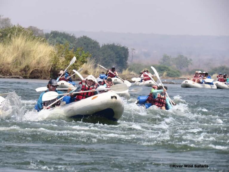 Victoria Falls: Canoeing-Upper Zambezi (Day Trail) - VIATOR - Why This Tour Offers Good Value