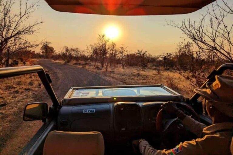 Victoria Falls: Dry Safari Game drive in National Park - The Itinerary: What to Expect