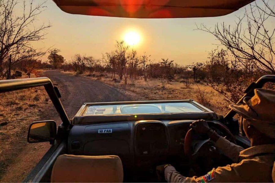 Victoria Falls: Dry Safari Game drive in National Park - The Itinerary: What to Expect