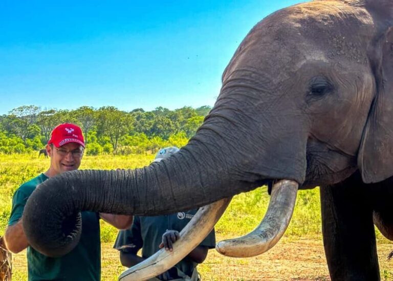 Victoria Falls: Elecrew Through The Eyes Of An Elephant - Final Thoughts: A Truly Rewarding Encounter