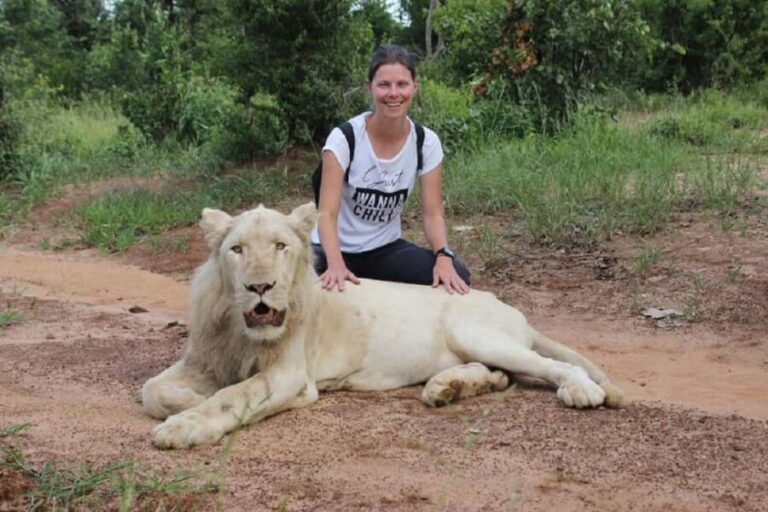 Victoria Falls: Elephant, Lion, and Cheetah Encounter - What Makes This Experience Stand Out?