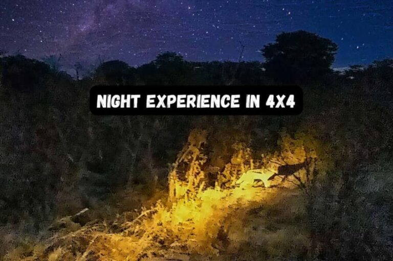 Victoria Falls: Flashlight Bush Experience and Stargazing - The Value of the Experience