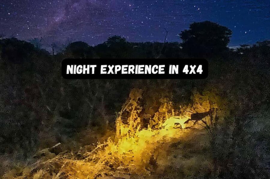 Victoria Falls: Flashlight Bush Experience and Stargazing - The Value of the Experience