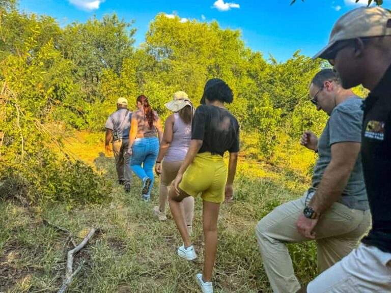 Victoria Falls: Game Walk in the Zambezi National Park - Who Will Enjoy This Tour?