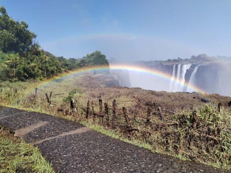 Victoria Falls: Guided tour by local guides - The Rainforest Walk