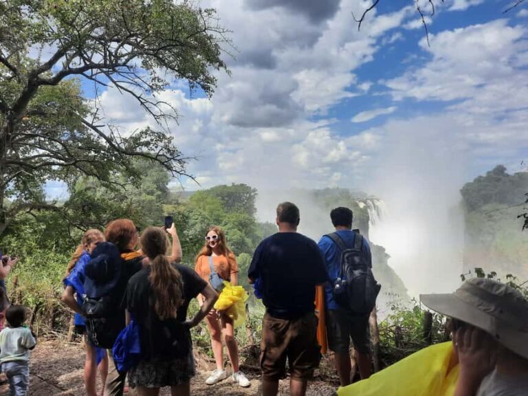 Victoria Falls & Helicopter Flight - Why Choose This Tour?