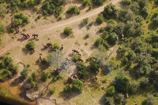 Victoria Falls Helicopter Tour - Practical Tips for Your Helicopter Ride