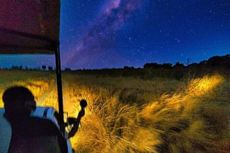 Victoria Falls Night Activity: Stargazing Safari - Key Points