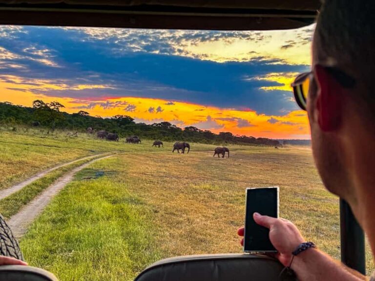 Victoria Falls: Night Game Drive Zambezi National Park - Analyzing Value and Suitability