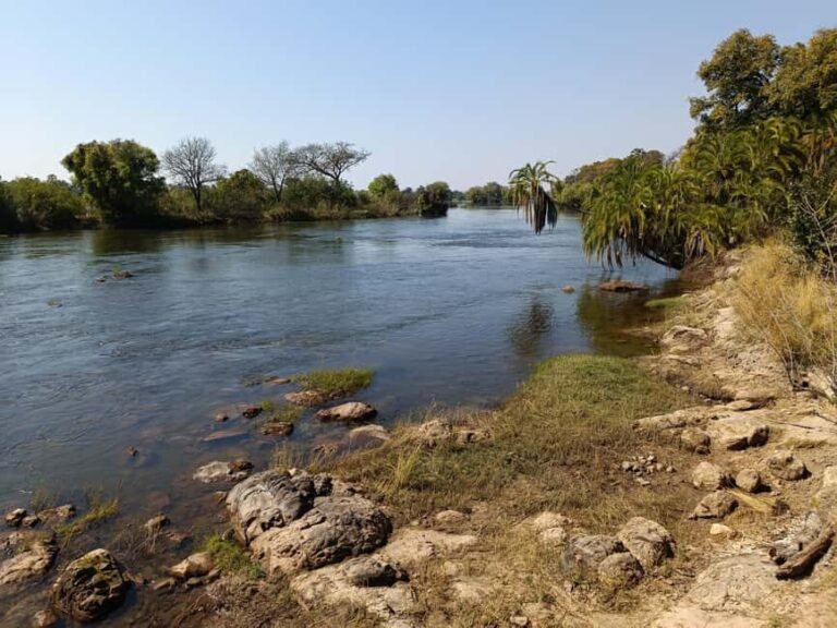 Victoria Falls: Private Birdwatching Safari near the town - Authentic Experiences and Real Reviews