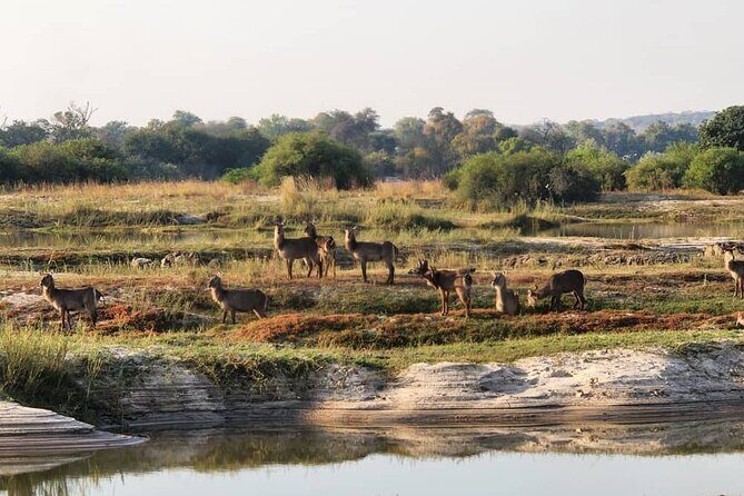 Victoria Falls Safari Tour Full Day - Who Should Consider This Tour?