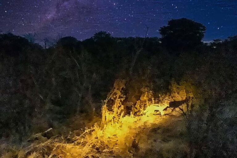 Victoria Falls: Stargazing Safari - The Sum Up