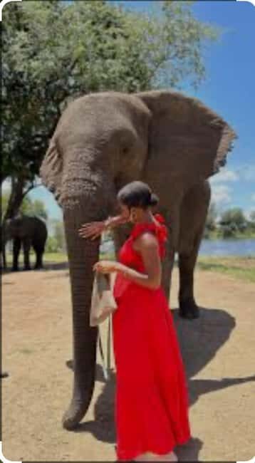 Victoria Falls: Through the eye of an elephant - What the Tour Looks Like in Practice