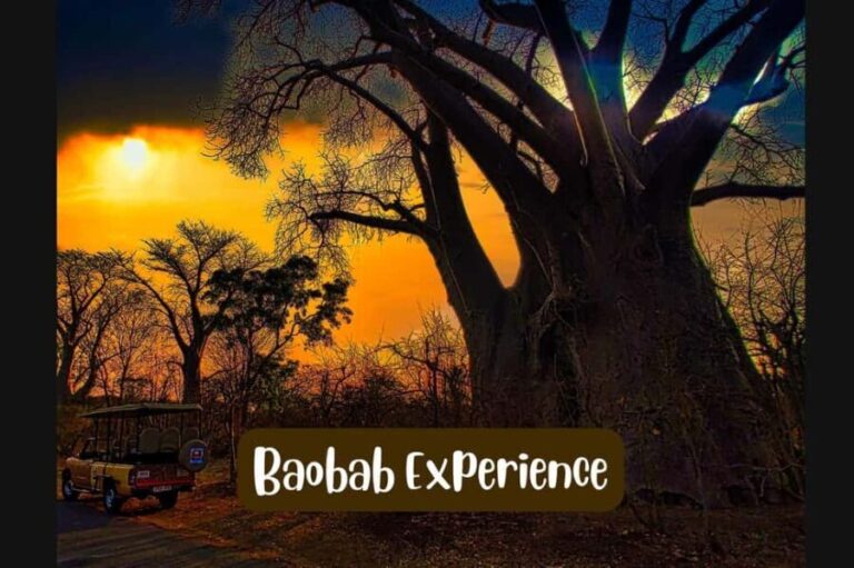 Victoria Falls: Vulture Safari and Bush Walk - The Sum Up: Who Is This Tour Best For?