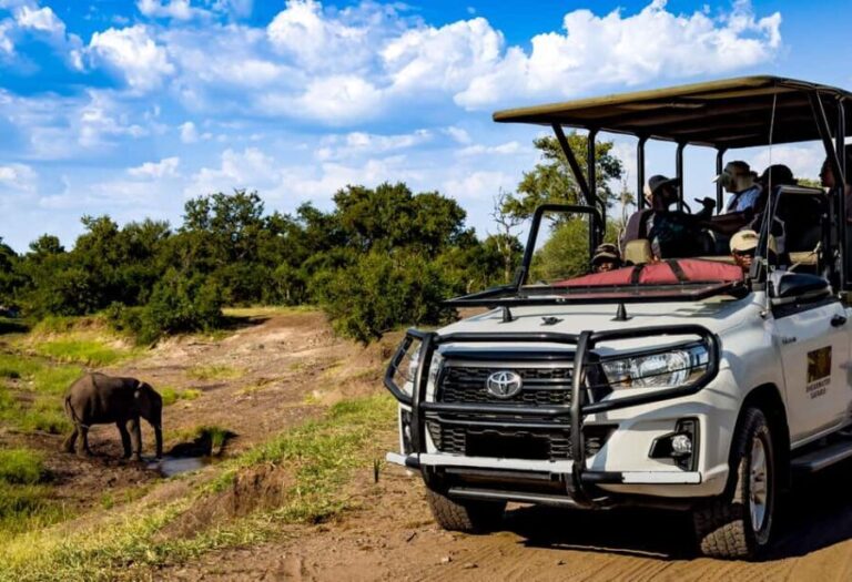 Victoria Falls: Zambezi National Park Game Drive - Exploring the Itinerary and Experience