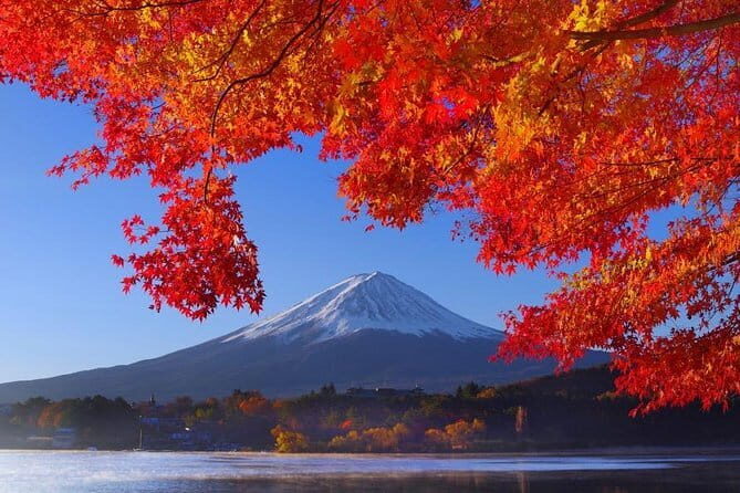 View of Mt. Fuji is good! Sushi making experience class - What to Expect from the Tour