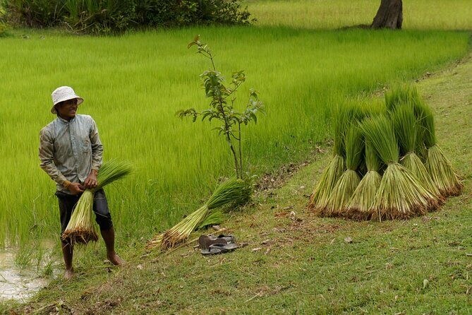 Village Life Tour from Siem Reap - What Previous Travelers Say