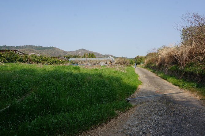 Village to village walk: Japan's oldest road, Yamanobe ancient trail (Private) - Practical Considerations