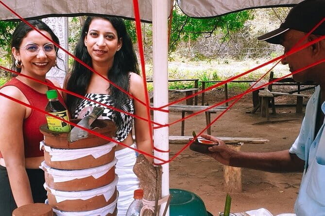 Visit Around Ella with diyaluma falls - Who Will This Tour Suit Best?