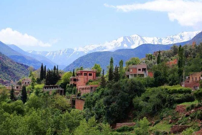 Visit Atlas Mountains and Agafay Desert with Camel Camel Experience - Who Will Enjoy This Tour?