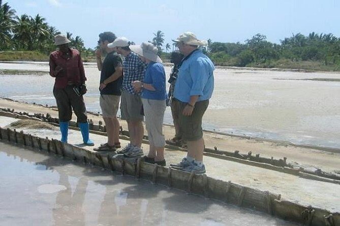 Visit Sisal Plantations & Processing Factory - Full Day Tour - A Close Look at the Itinerary