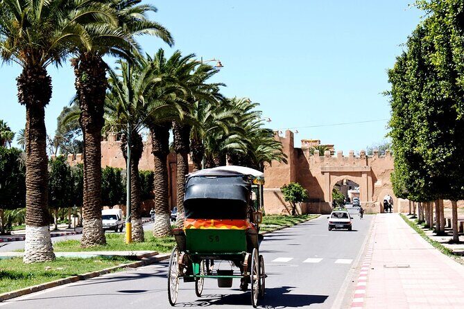 Visit Taroudant and Tiout 1 day From Agadir - Final Thoughts: Is This Tour Right for You?
