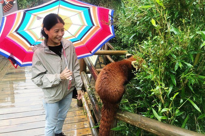 Visiting Chengdu Panda Base in a Half Day - Who Should Consider This Tour?