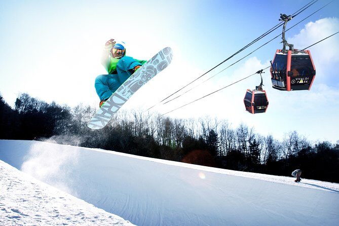 Vivaldi Park Winter Ski Resort with Nami Island Tour from Seoul - The Sum Up