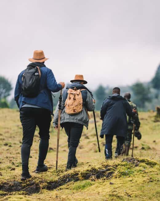 Volcanoes National Park: Dian Fossey Tomb Hike from Kigali - Is It Worth the Price?
